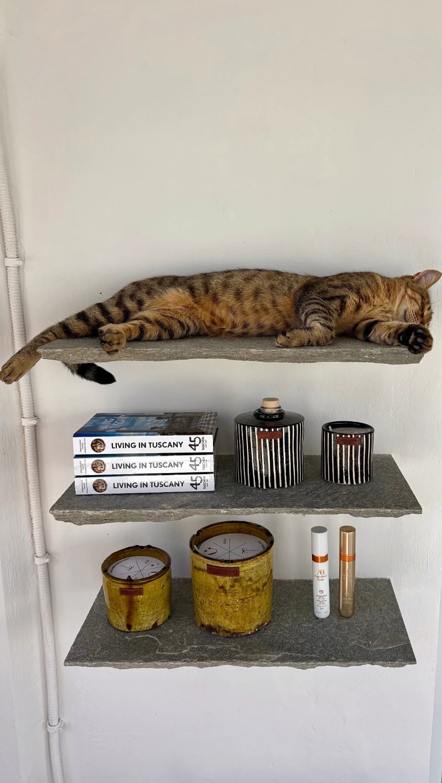 Chat tigré endormi de tout son long sur une étagère en pierre, au-dessus de livres et de bougies