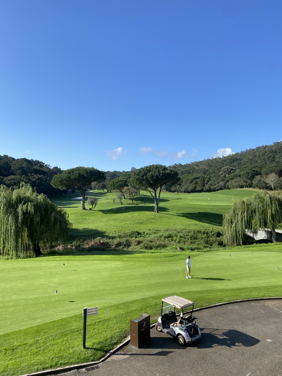 Terrain de golf vallonné sous un ciel bleu, pins parasols et saules pleureurs, une voiturette garée au premier plan