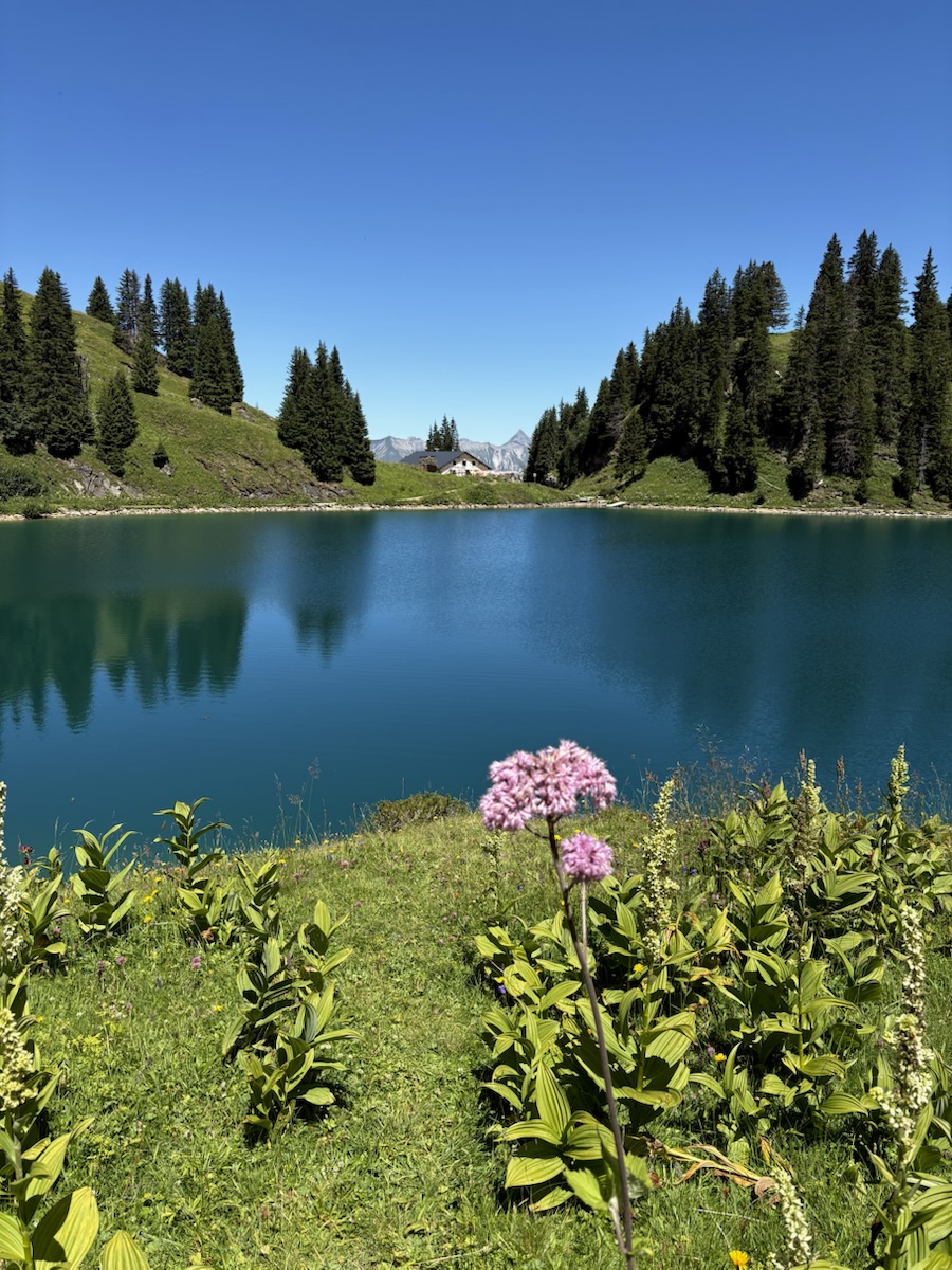 Lac de montagne bordé de sapins, fleurs roses au premier plan